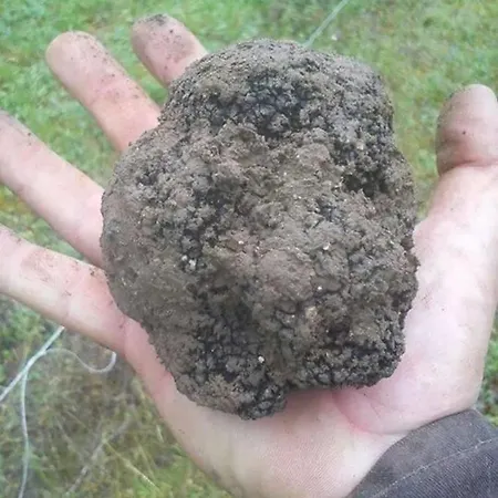 Au Repere De La Truffe Alloggio in famiglia